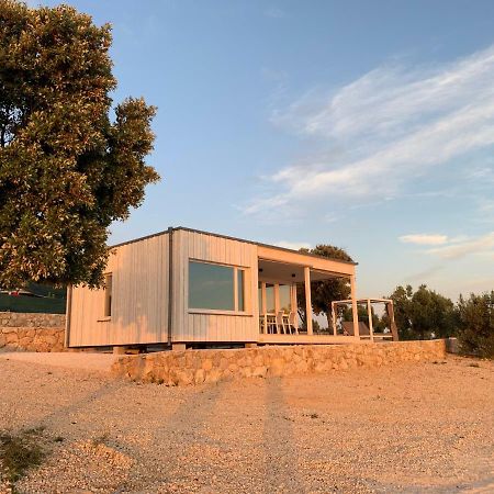 Beachvilla Willy / Haus 24 Pakoštane Eksteriør bilde